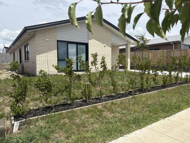 Brand New Brick Home