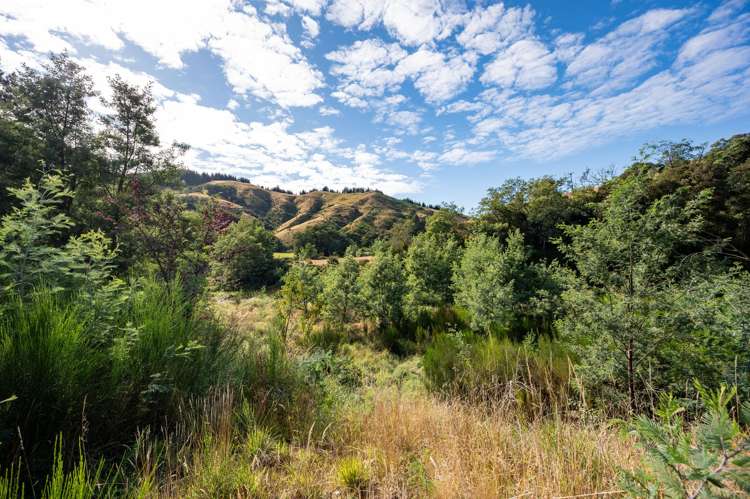 1845 Dovedale Road Woodstock_17