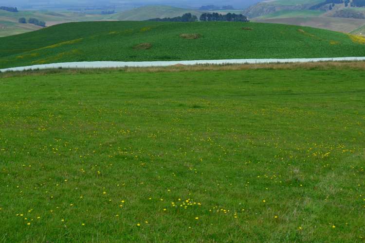 Fuchsia Creek Road Waitaki_6