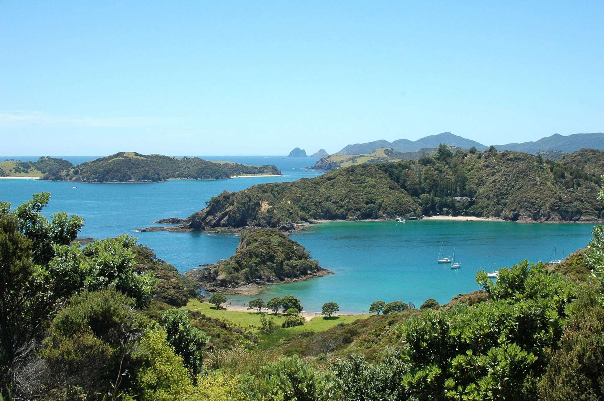 Property Scouts Bay of Islands