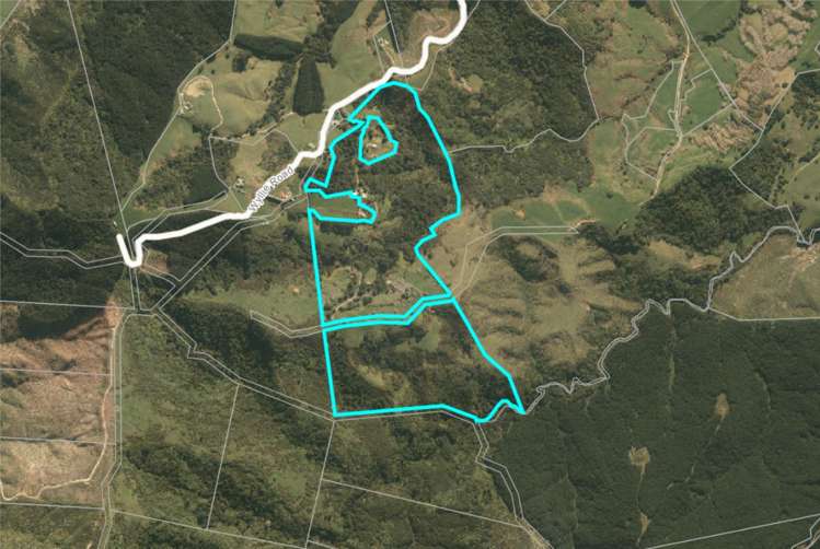 471 Wyllie Road Warkworth_27