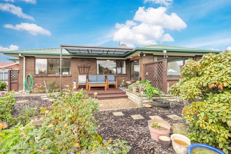 354 Tay Street Turnbull Thomson Park_1