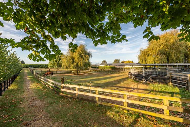 81 Racecourse Road Cambridge_28