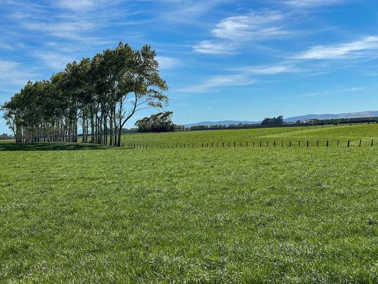 445 Aparima Road Otautau_12