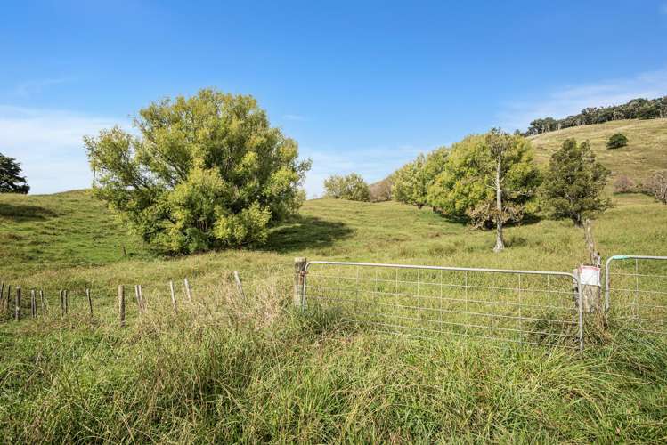 Kirikopuni Road Parakao_15