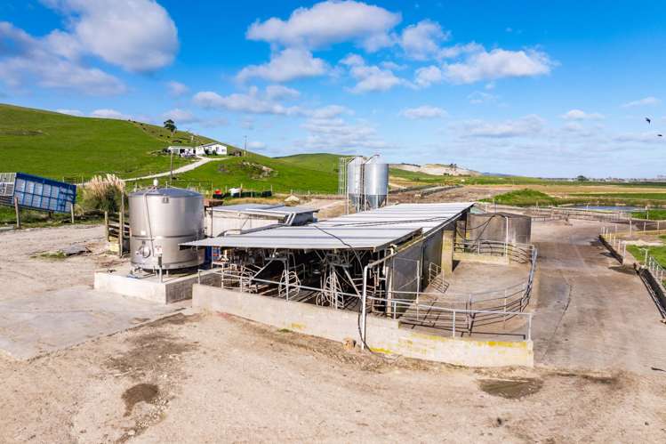 107 Molloy Road Ruawai_17