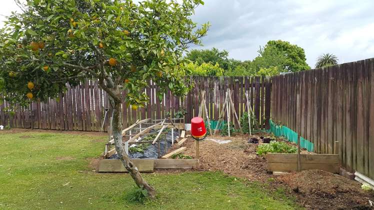 10 Sydney Street Kaikohe_14