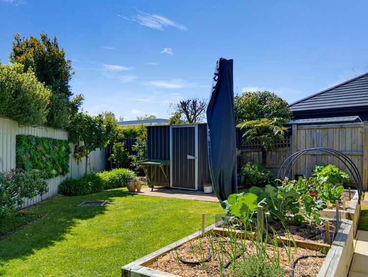 20C Brookvale Road Havelock North_27