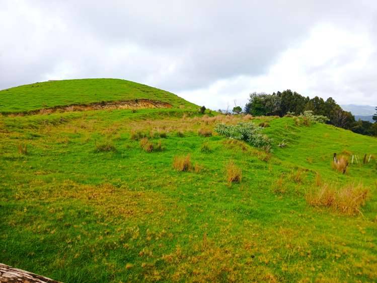 Lot 1 & 3 Fisher-Riley Road Kaitaia_13