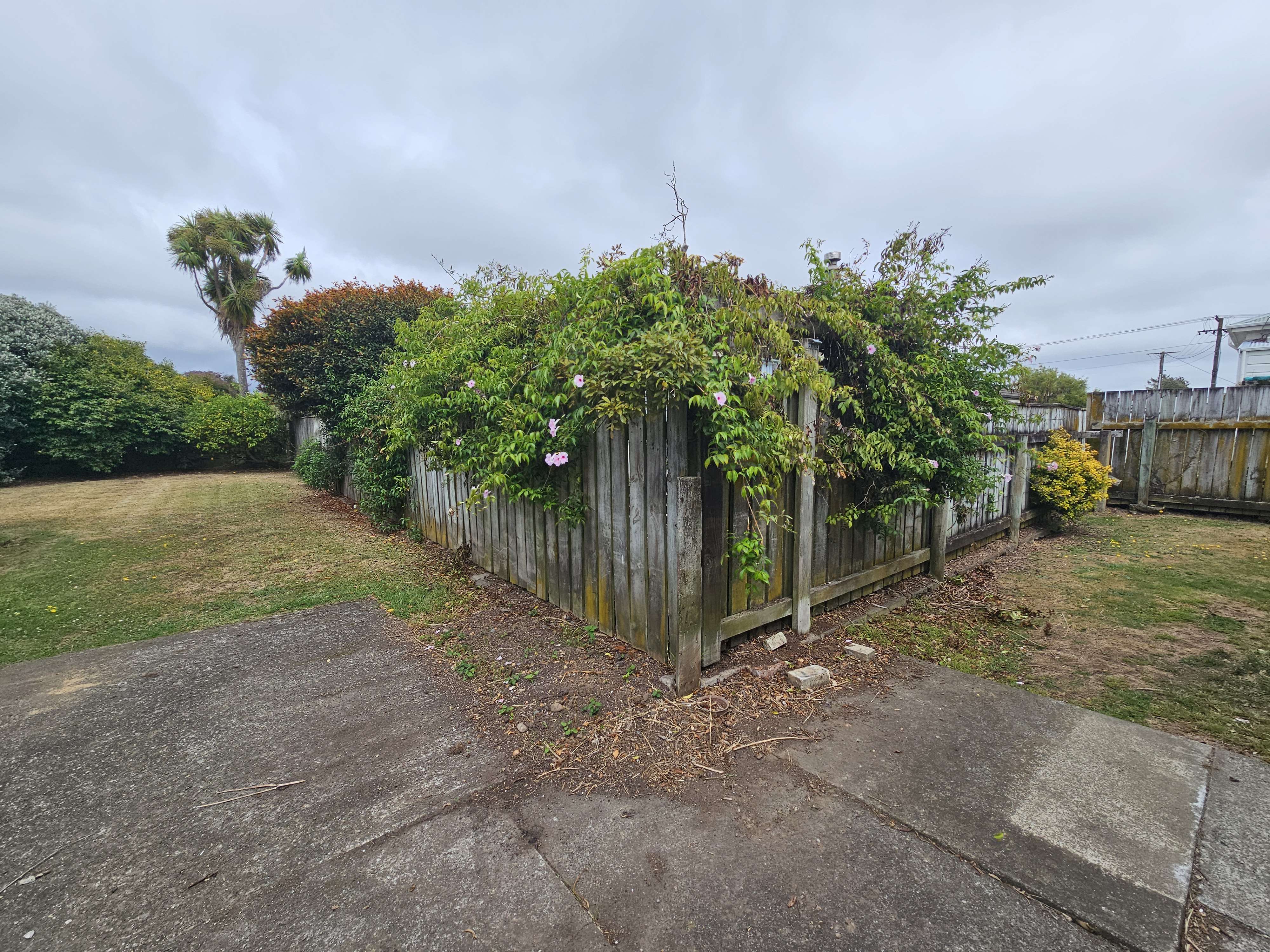6 Nelson Street Levin Horowhenua Houses for Sale One Roof