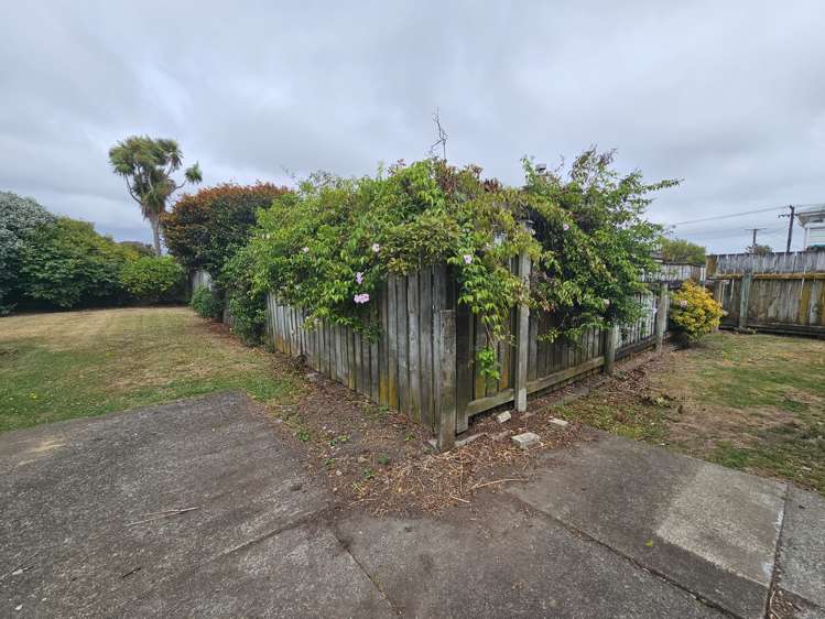 6 Nelson Street Levin_12