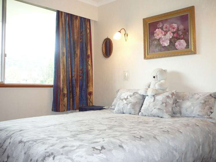 102 Hazlett Street Clyde_9