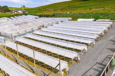 413 Otaika Valley Road_3