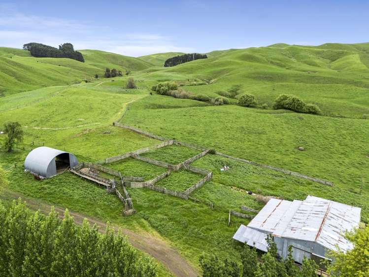 637 to 897 Tahuroa Road Morrinsville_15