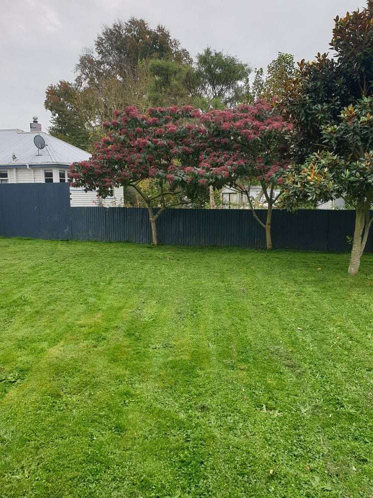 19 Sealy Crescent Arapuni_1