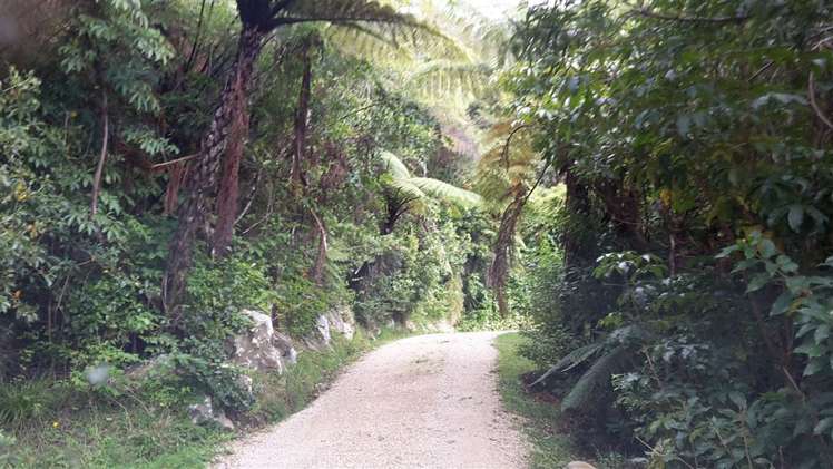 175 Parapara Valley Road Parapara_3