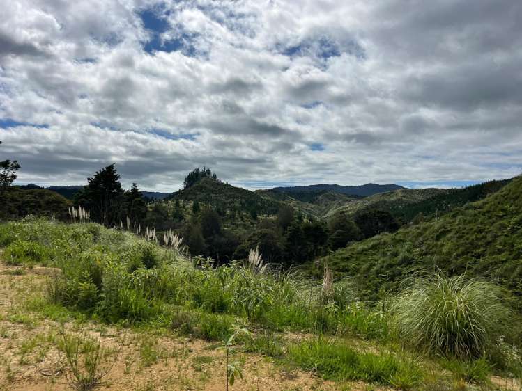 Lot 23 Waiotehue Road Herekino_6