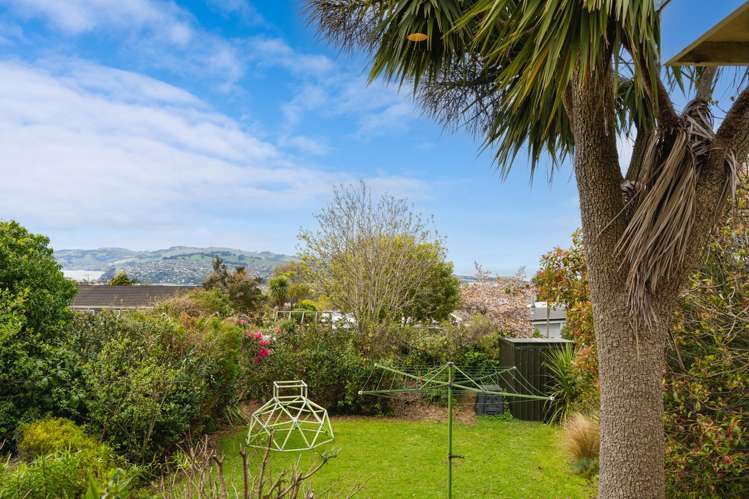 55 English Avenue Mornington_19