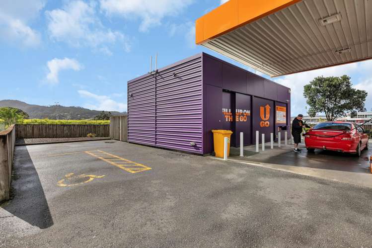 47 Porowini Avenue Morningside_8