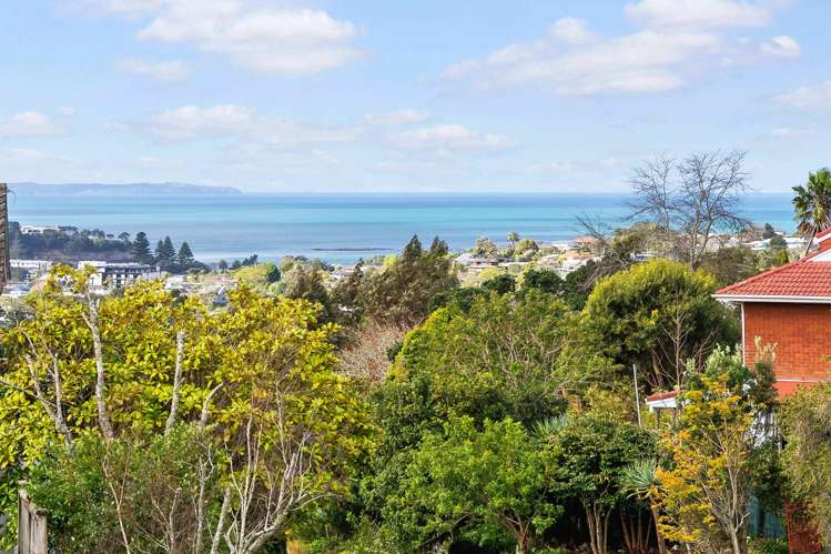 8 Helvetia Drive Browns Bay_1