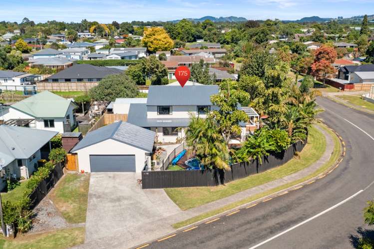 175 Cameron Road Te Puke_27