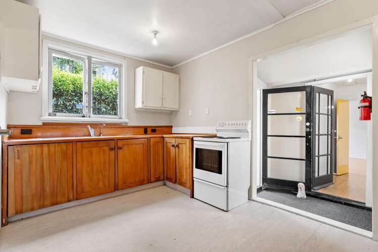 20 Prime Road Grey Lynn_13