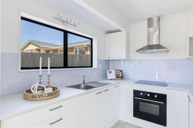 13A Tukapa Street Westown_4