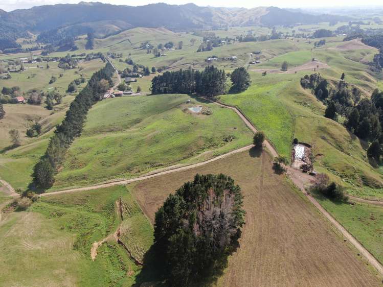 1026 Limeworks Loop Road Karamu_21