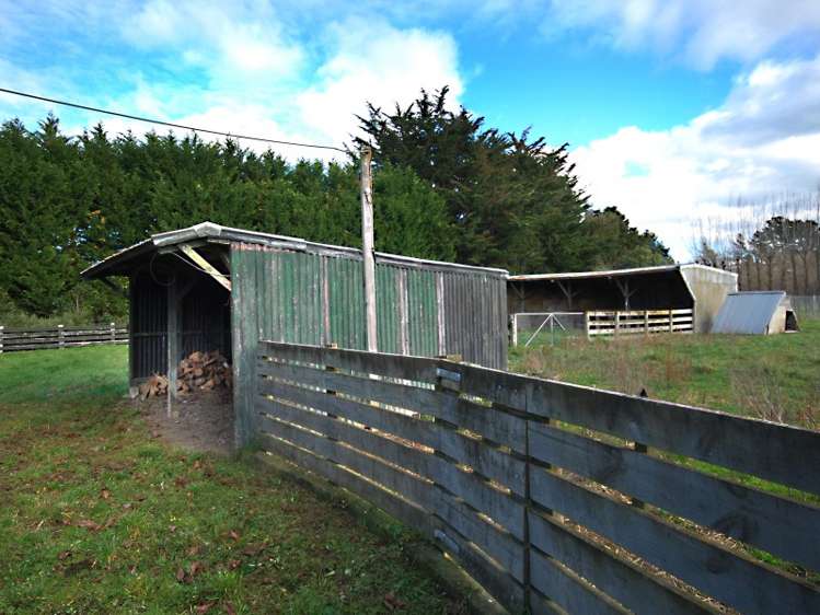 225 Upper Manaia Road Upper Plain_14