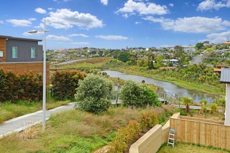 6 Carex Way Long Bay_23