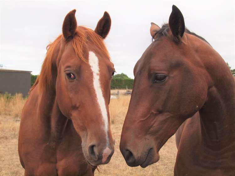 15 Knights Road Rolleston_0