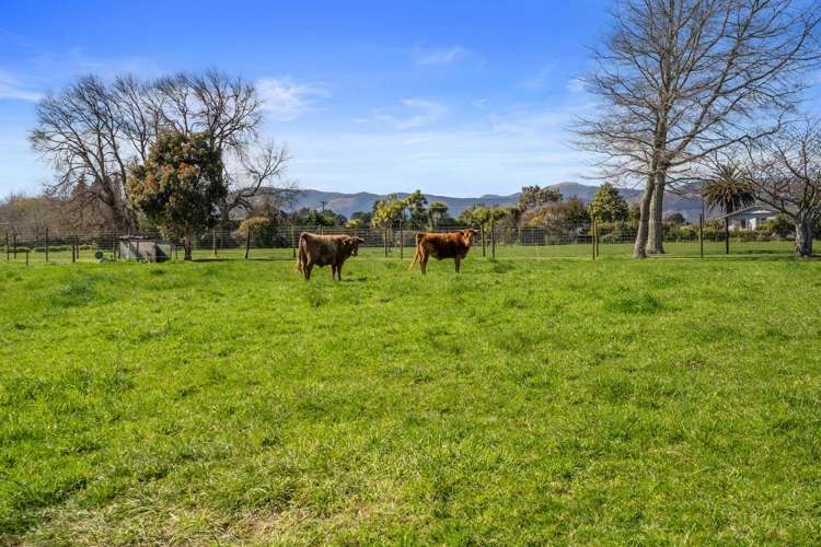 809 Lower Queen Street Richmond_28