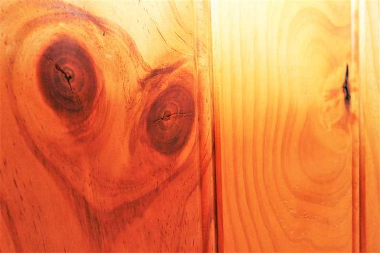 305 Grafton Road Thames_26