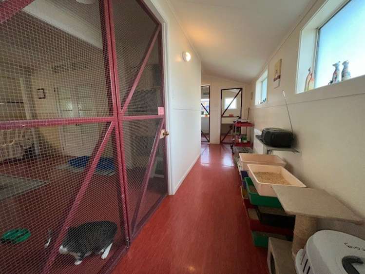 10 Constitution Avenue Milton_15