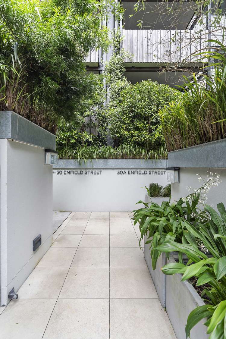 202/30a Enfield Street Mount Eden_17