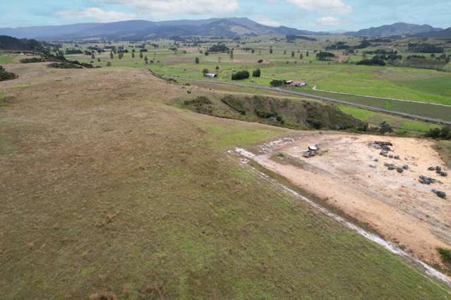 41.73 ha - Grazing, bush & space to breathe