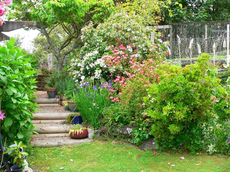 293 State Highway 30 Te Kuiti_21