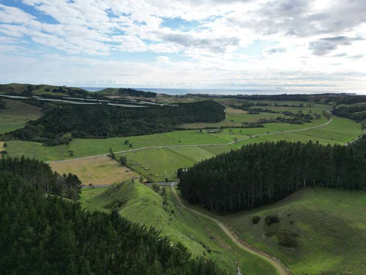 1/461 Otamarakau Valley Road Pukehina_17