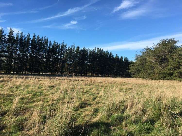 953 Longbush Road Longbush_2