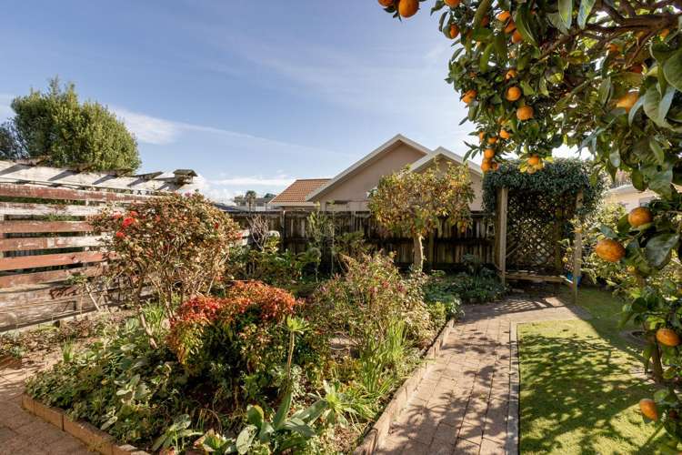 10A Tutauanui Crescent Maungatapu_16