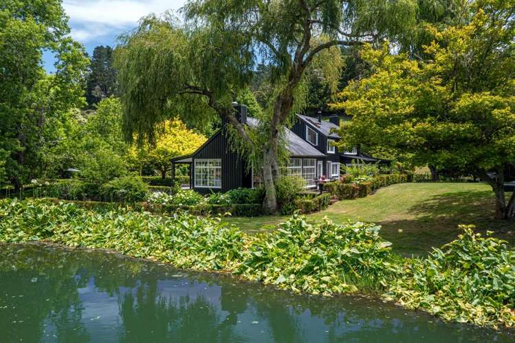 186 Twilight Road Clevedon_5