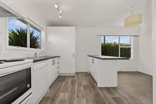 12 Vogel Street Levin_2