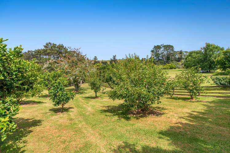 786 South Head Road South Head_29