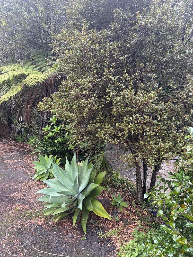 1078 Scenic Drive North Swanson_9