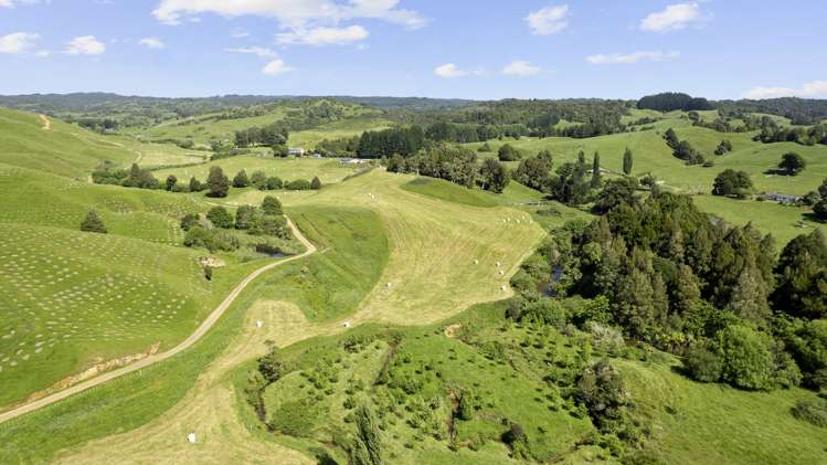 2806 Te Anga Road Te Anga_14