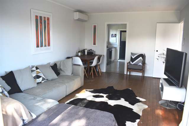 19a Alma Street Dannevirke_3