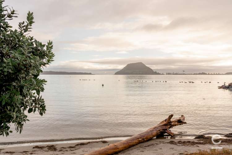 81b Kulim Avenue Otumoetai_30