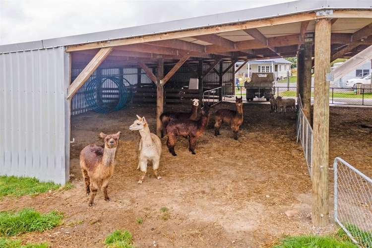 18 Nixons Road Fairlie_15