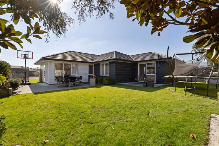 29 Monarch Drive Ashhurst_28