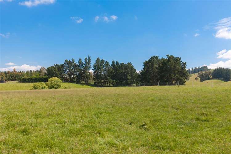 234 Carrs Road Loburn_1